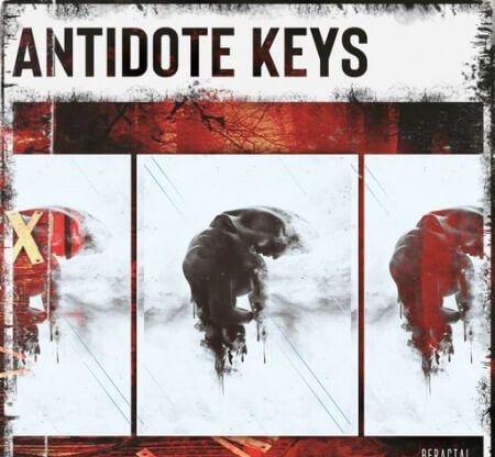 BFractal Music Antidote Keys WAV